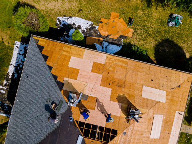 Best Roof Maintenance Services  in Ama, LA